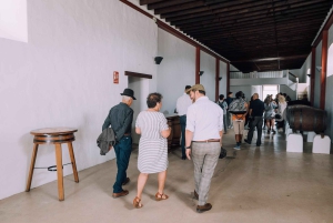 Lanzarote: Vineyard Tour & Blind Wine Tasting