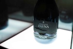 Lanzarote: Vineyard Tour & Blind Wine Tasting