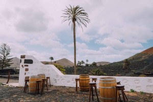 Lanzarote: Vineyard Tour & Blind Wine Tasting