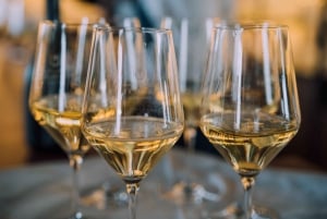 Lanzarote: Vineyard Tour & Blind Wine Tasting