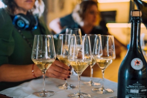 Lanzarote: Vineyard Tour & Blind Wine Tasting