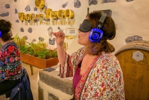 Lanzarote: Vineyard Tour & Blind Wine Tasting