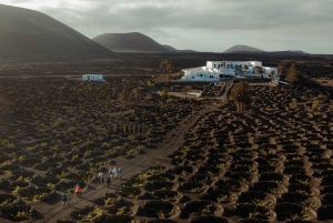 Lanzarote: Vineyard Tour & Blind Wine Tasting