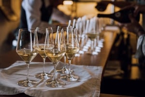 Lanzarote: Tur gennem vinmarker & vinprovning med oste