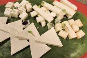 Lanzarote: Tur gennem vinmarker & vinprovning med oste