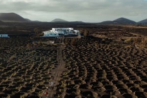 Lanzarote: Tur gennem vinmarker & vinprovning med oste