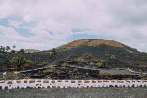 Lanzarote: Tur gennem vinmarker & vinprovning med oste
