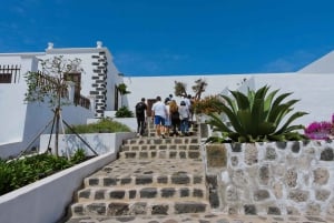 Lanzarote: Tur gennem vinmarker & vinprovning med oste