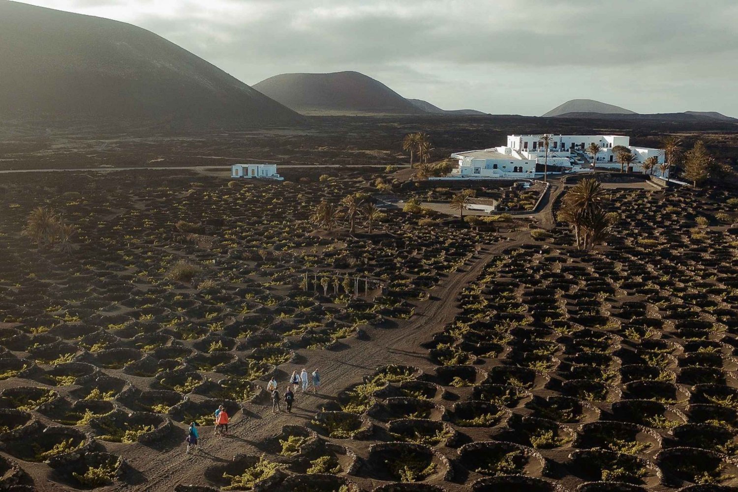 Lanzarote: Passeio pelos vinhedos com degustação de vinho e chocolate