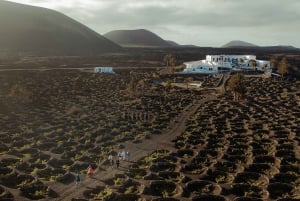 Lanzarote: Vingårdstur med vin- og chokoladesmagning