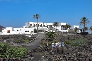 Lanzarote: Vingårdstur med vin- og chokoladesmagning