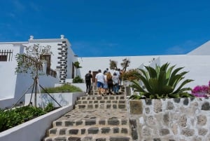 Lanzarote: Vingårdstur med vin- og chokoladesmagning