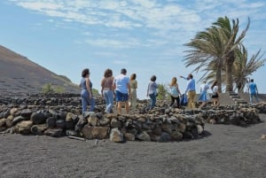 Lanzarote: Vingårdstur med vin- og chokoladesmagning