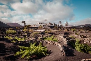 Lanzarote: Vingårdstur med vin- og chokoladesmagning