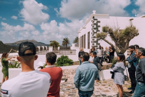 Lanzarote: Vingårdstur med vin- og chokoladesmagning