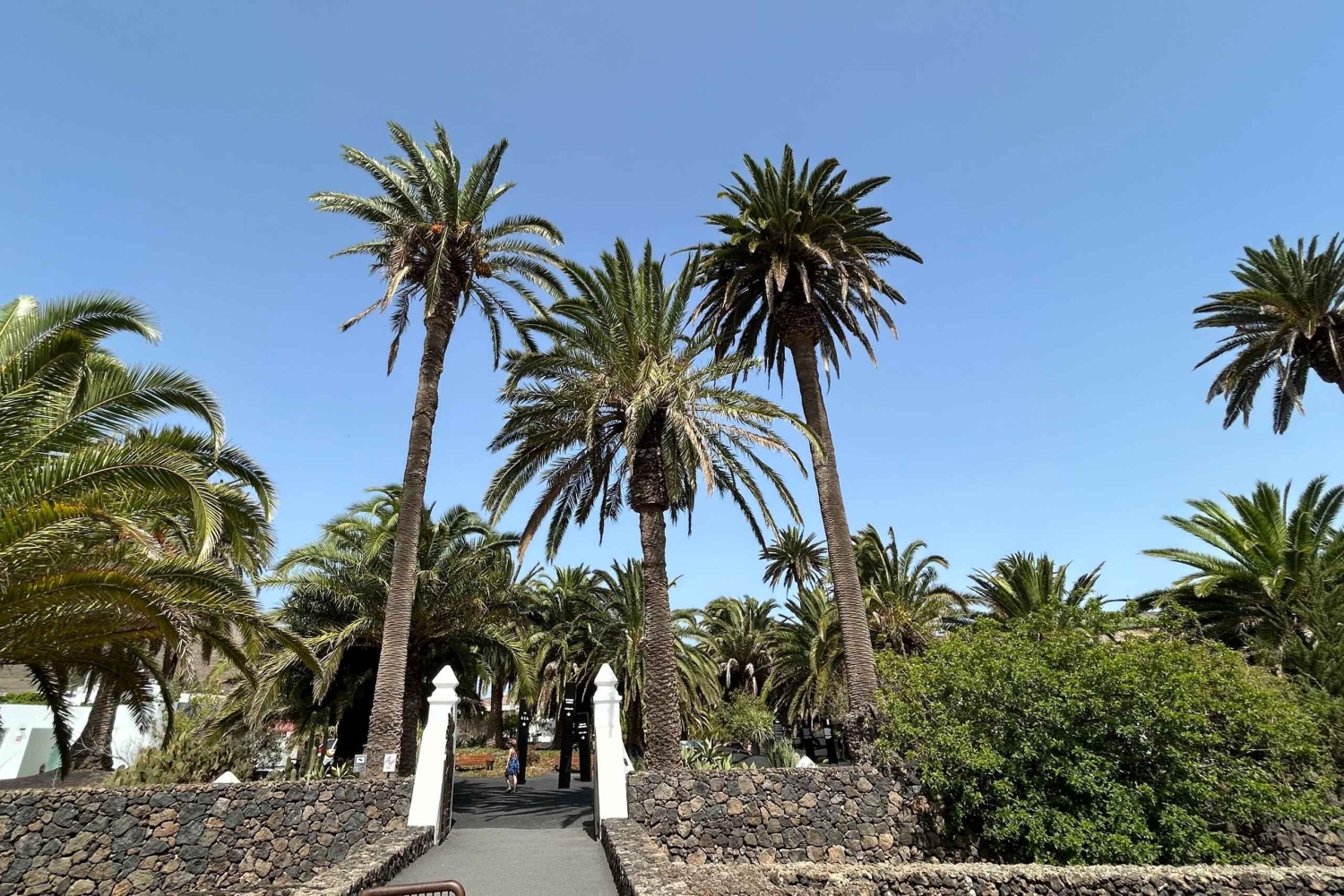 Lanzarote: VIP-østur