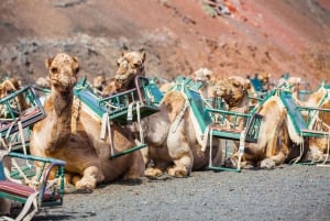 Lanzarote: Guided Day Trip to Timanfaya Park & Lago Verde