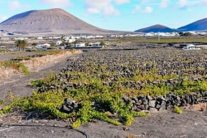 Lanzarote: Volcanos of Timanfaya and Caves Tour with Lunch