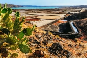 Lanzarote: Volcanos of Timanfaya and Caves Tour with Lunch