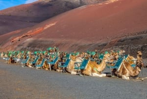 Lanzarote: Volcanos of Timanfaya and Caves Tour with Lunch