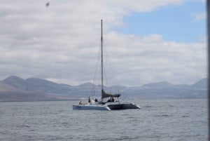 Lanzarote: Val- och delfinskådning med miljövänlig katamaran