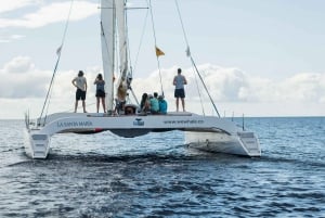 Lanzarote: Val- och delfinskådning med miljövänlig katamaran