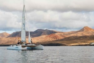 Lanzarote: Val- och delfinskådning med miljövänlig katamaran