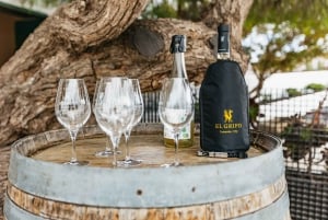 Lanzarote: Wine Tasting Tour at El Grifo Bodega