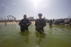 Lanzarote: Primera experiencia de bautizo de buceo