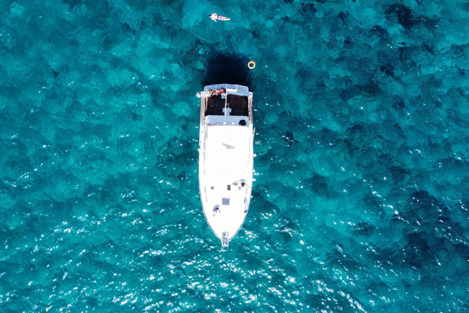 Las Galletas: Whale & Dolphin Tour with Local Skipper