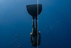 Las Palmas: Esperienza di apnea e snorkeling profondo per principianti