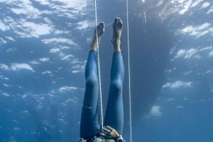 Las Palmas: Esperienza di apnea e snorkeling profondo per principianti