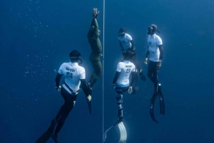 Las Palmas: Esperienza di apnea e snorkeling profondo per principianti