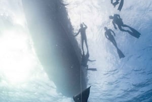 Las Palmas : expérience de plongée en apnée et de snorkeling en profondeur pour débutants