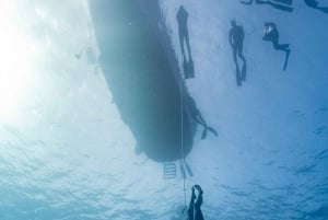 Las Palmas : expérience de plongée en apnée et de snorkeling en profondeur pour débutants