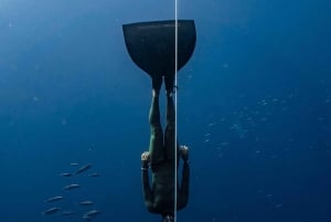 Las Palmas : expérience de plongée en apnée et de snorkeling en profondeur pour débutants