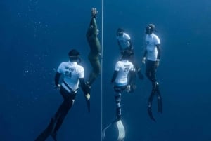 Las Palmas : expérience de plongée en apnée et de snorkeling en profondeur pour débutants