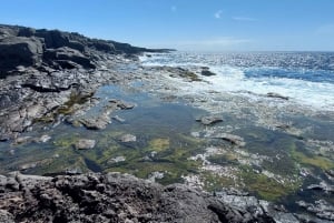 Los Ajaches by E-Bike: Spectacular scenery