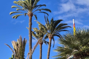 Maspalomas: Rundvandring i solnedgången med utsikt över fyren