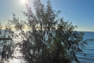 Maspalomas: Excursão a pé ao pôr do sol com vistas do farol