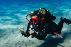 Museo Atlántico: Scuba Dive Lesson for Non-Certified Divers