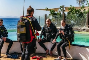 Museo Atlántico: Scuba Dive Lesson for Non-Certified Divers