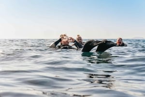 Museo Atlántico: Scuba Dive Lesson for Non-Certified Divers