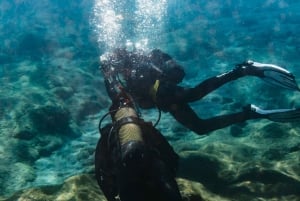 Museo Atlántico: Scuba Dive Lesson for Non-Certified Divers