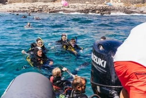 Museo Atlántico: Scuba Dive Lesson for Non-Certified Divers