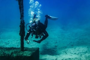 Museo Atlántico: Scuba Dive Lesson for Non-Certified Divers