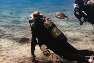 Museo Atlántico: Scuba Dive Lesson for Non-Certified Divers