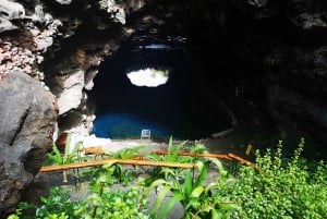 North Lanzarote: Cave, Jameos del Agua, and Viewpoint