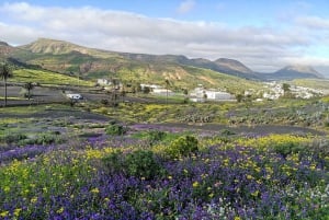 North Lanzarote: Cave, Jameos del Agua, and Viewpoint