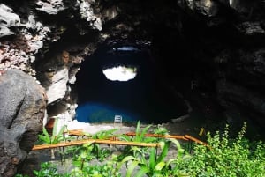 Północna Lanzarote: jaskinia, Jameos del Agua i punkt widokowy